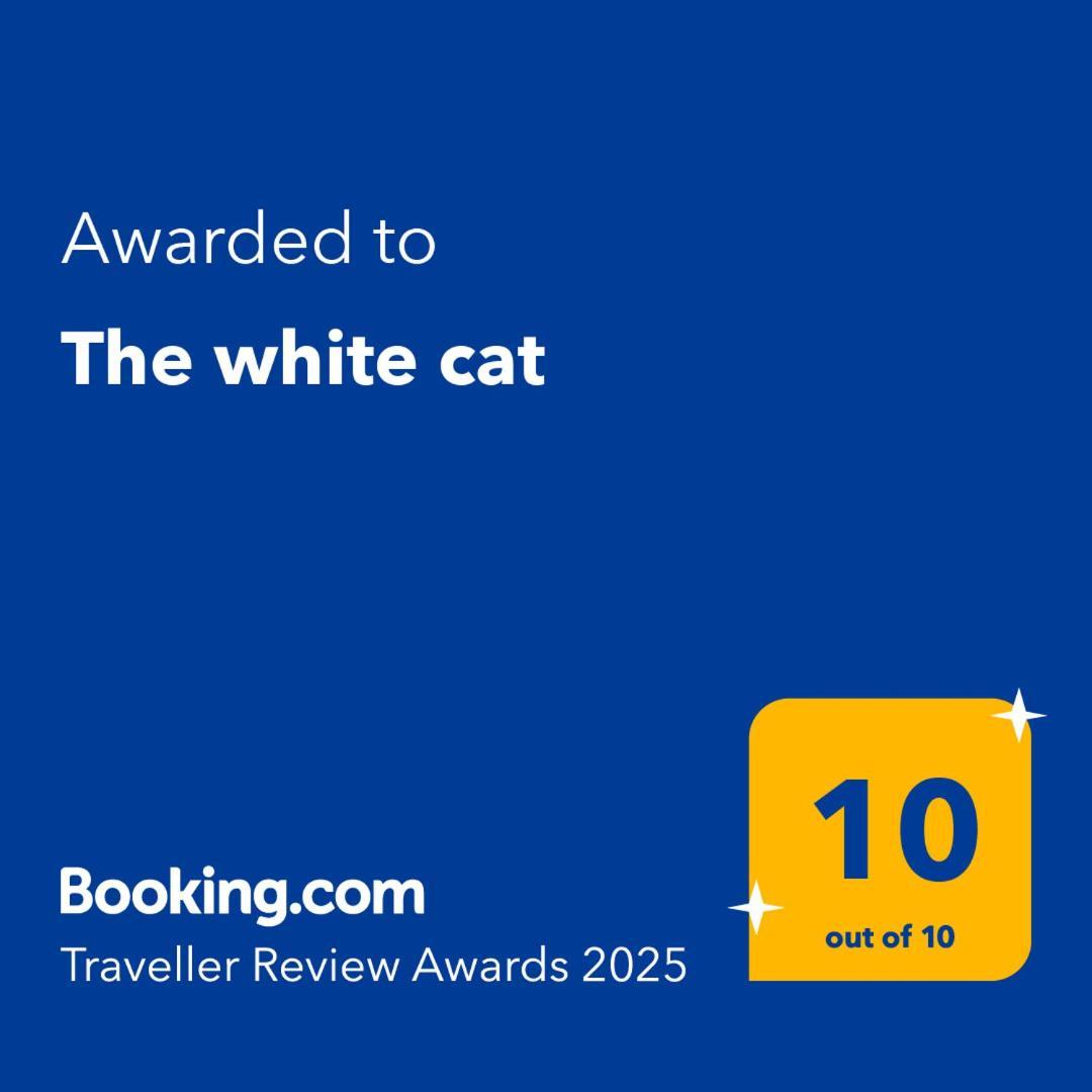 فيلا The White Cat نابولي المظهر الخارجي الصورة